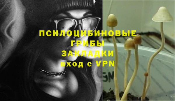ешки Лиски